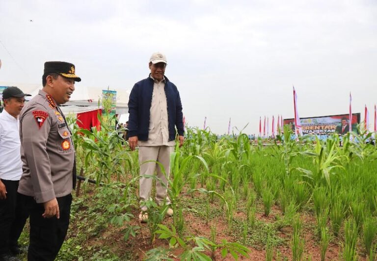 Produktivitasnya Tinggi, Mentan Amran Apresiasi Benih Jagung Bhayangkara Inovasi Polda Jatim