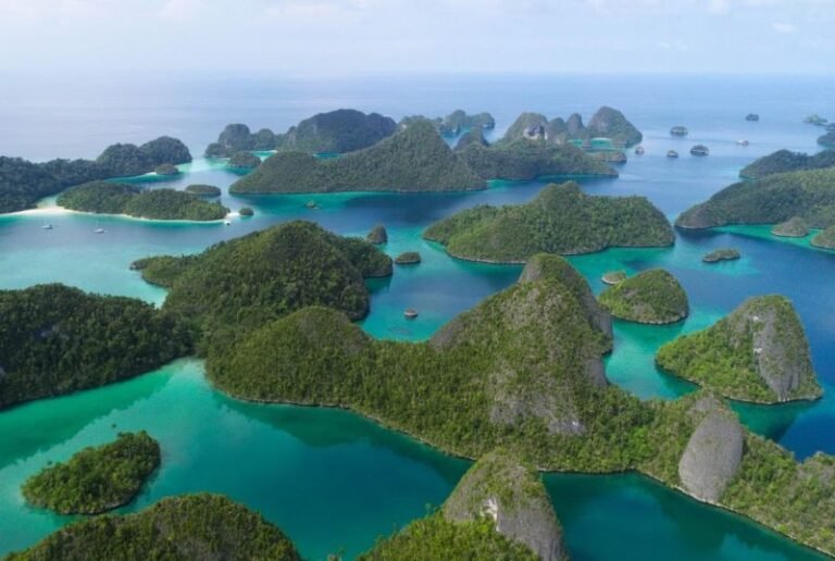 KKP Jaga Kelestarian Populasi Pari Manta & Hiu di Raja Ampat