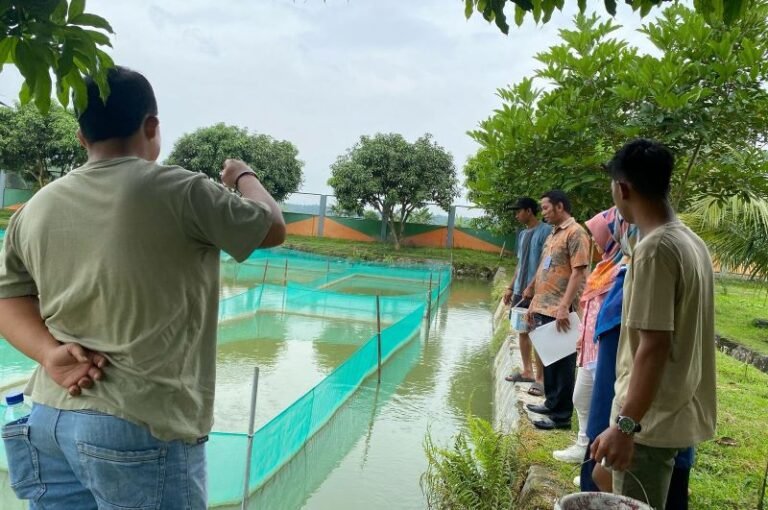 KKP Gencarkan Pengawasan Mutu Benih Ikan untuk Keamanan Pangan