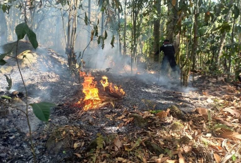 Tangani Karhutla di Riau, BNPB Laksanakan Operasi Modifikasi Cuaca