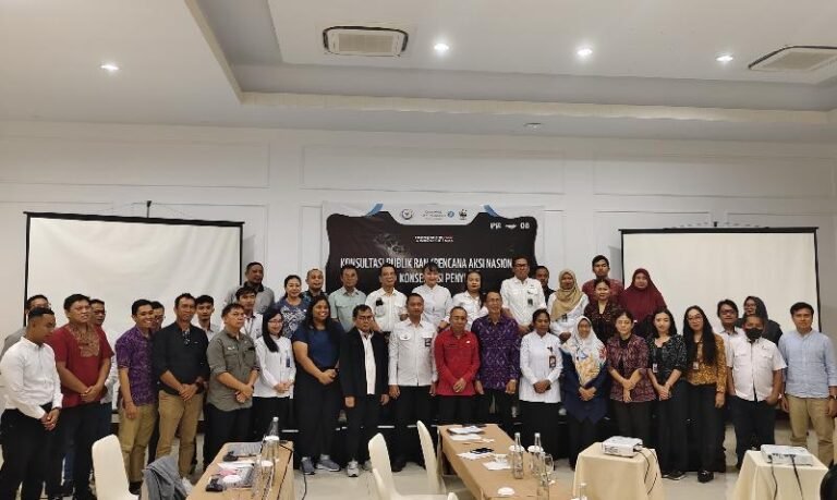 KKP Dorong Kolaborasi Multi-Pihak untuk Perlindungan Penyu dan Cetacea
