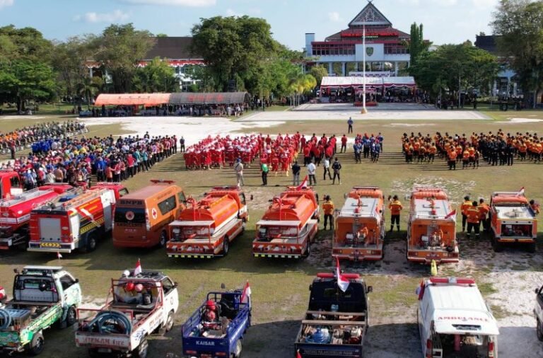 Satgas Gabungan Diperkuat, Pemadaman Karhutla di Kalteng Masih Terkendali