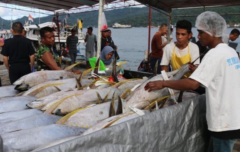 Kawal Penangkapan Ikan Terukur, KKP Kembangkan PPS Bitung Jadi Eco Fishing Port