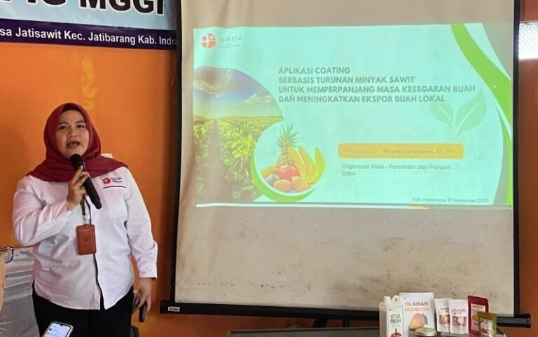 Teknologi Edible Coating Cegah Kerugian Pascapanen Mangga Indramayu