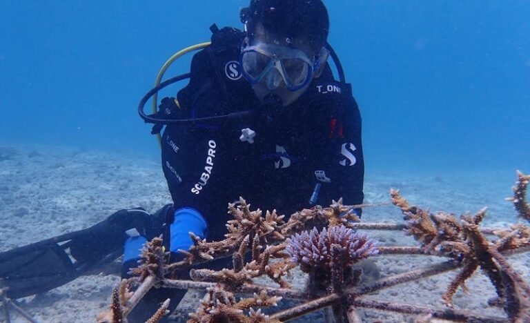 Rehabilitasi Ekosistem Terumbu Karang di Perairan Pulau Pieh