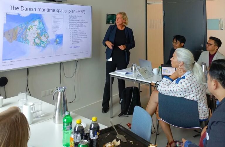 Indonesia Gandeng Denmark Kembangkan Offshore Wind Energy
