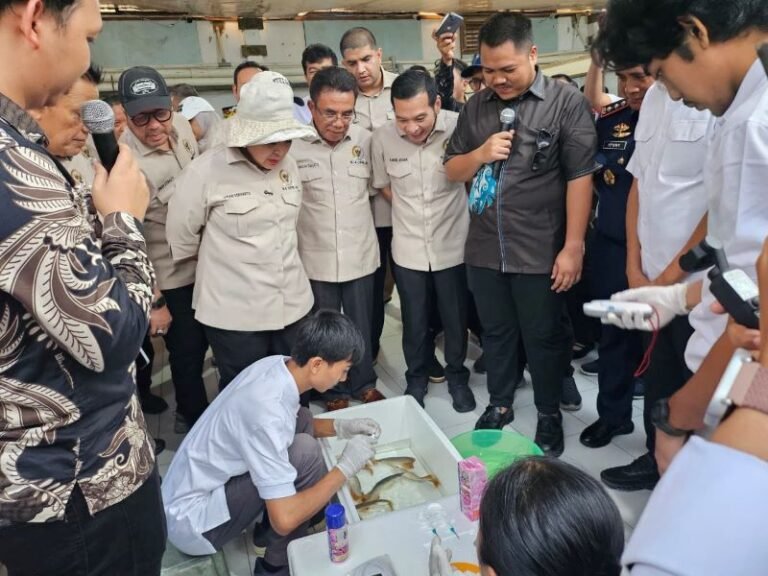 Ikan Hias Arwana Super Red Asal Kalbar Berhasil Tembus 14 Negara