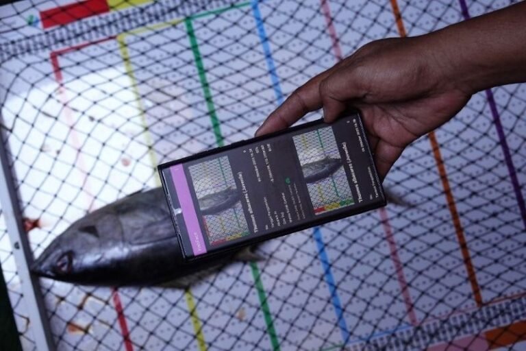 Perkuat Sistem Pendataan Ikan, KKP Luncurkan e-Logbook Versi 3