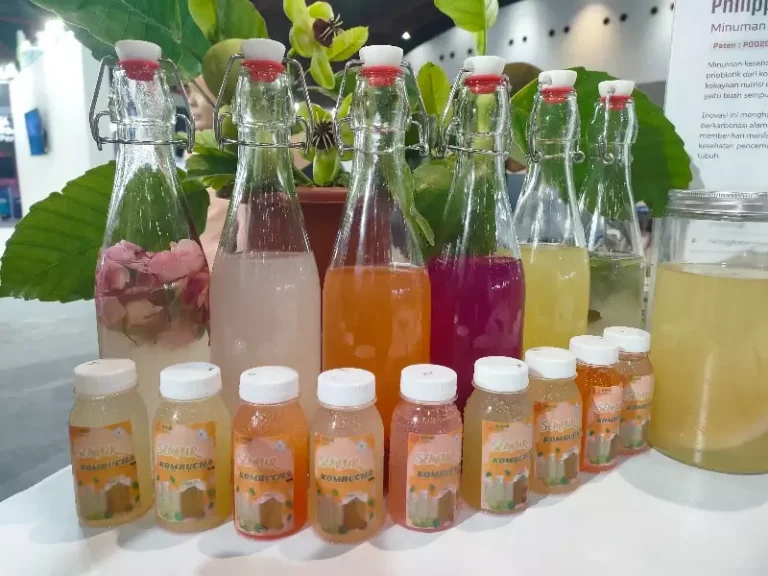 Kombucha Buah Sempur, Segar Alami dan Kaya Antioksidan
