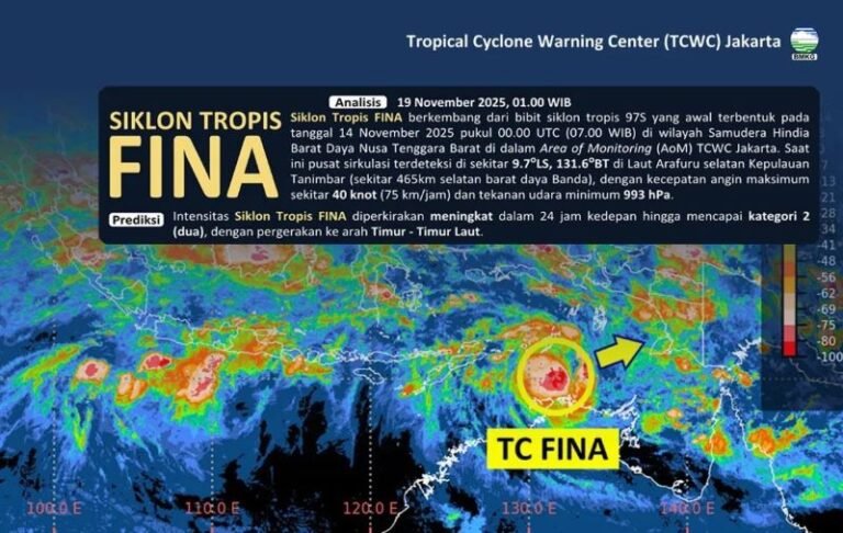 Siklon Tropis FINA Terbentuk di Laut Arafuru, BMKG Ingatkan Dampak Cuaca Ekstrem