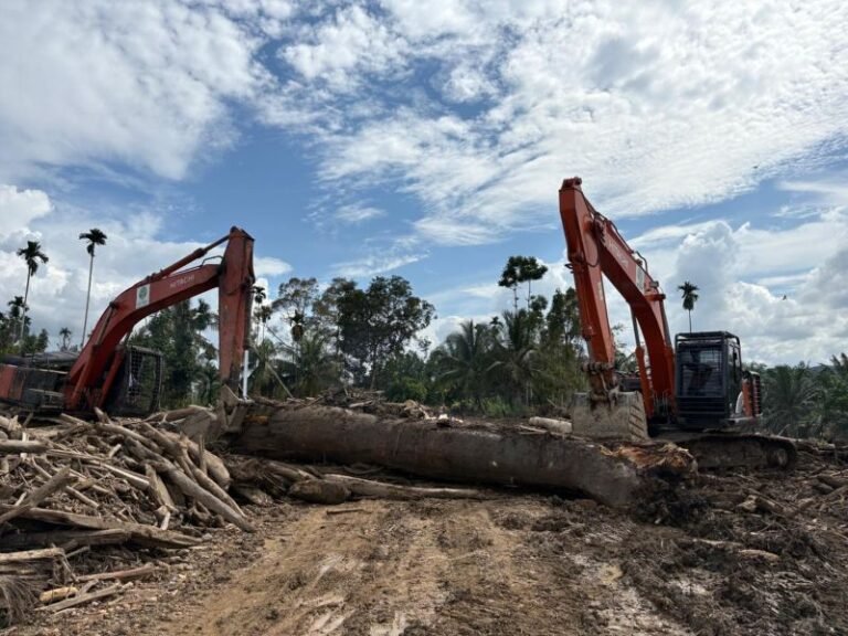 Alat Berat Dikerahkan, Akses Jalan dan Sekolah di Aceh Utara Mulai Pulih Pascabencana