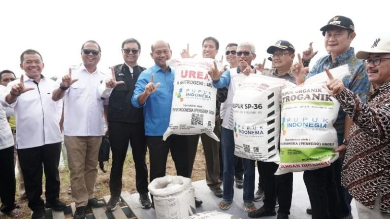 KKP Siap Salurkan Pupuk Bersubsidi Perikanan Awal 2026, Produktivitas Tambak Ditargetkan Naik