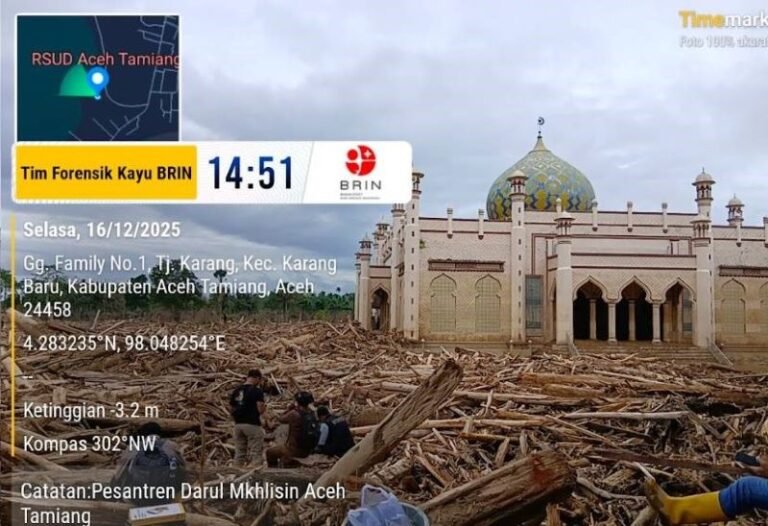 BRIN Lakukan Forensik Kayu yang Terbawa Banjir dan Longsor di Sumatra