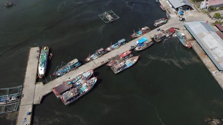 KKP Prioritaskan Izin Usaha Penangkapan Ikan Bagi Nelayan di Daerah Terdampak Bencana