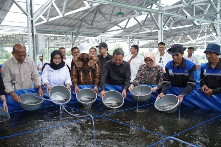 Program Bioflok KKP Perkuat Boyolali sebagai Pusat Penghasil Lele di Jateng