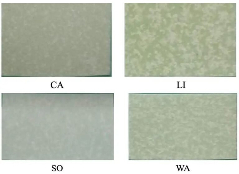 Peneliti BRIN Kembangkan Pelapis Kemasan Kertas dari Minyak Nabati