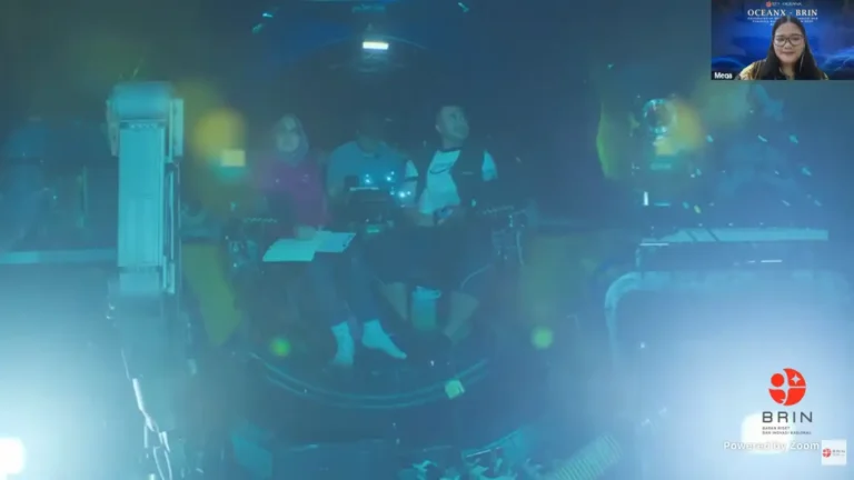 Ekspedisi Laut Dalam BRIN–OceanX Ungkap 14 Spesies Megafauna di Perairan Sulawesi Utara