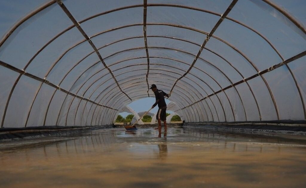 Hadapi Tantangan Cuaca, KKP Fasilitasi Tambak Garam Rakyat Teknologi Tunnel – SWRO