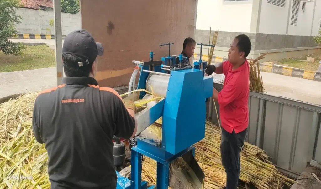 BRIN Kembangkan Teknologi Pengolahan Gula Semut dari Sorgum