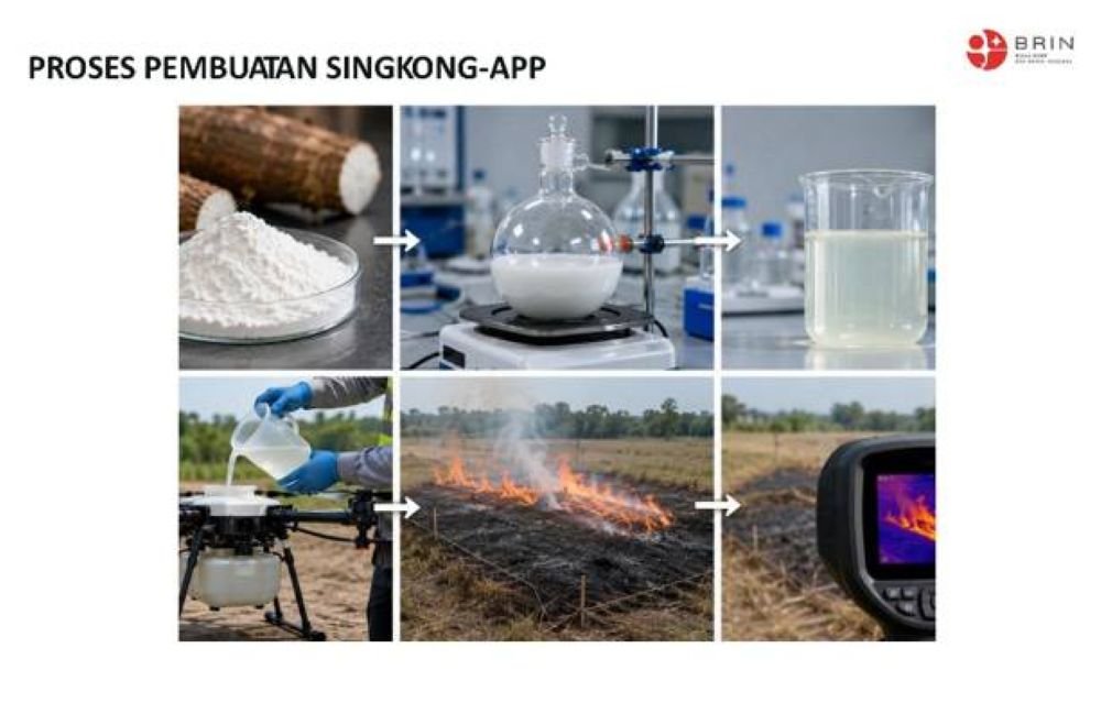 BRIN Kaji Potensi Tepung Singkong untuk Memadamkan Kebakaran Hutan